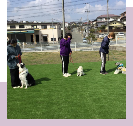 グループレッスン