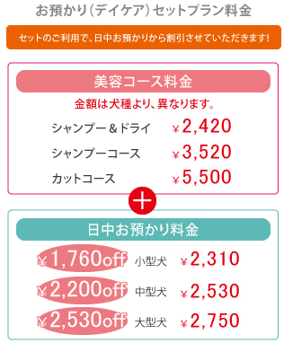 お預かり（デイケア）セットプラン料金