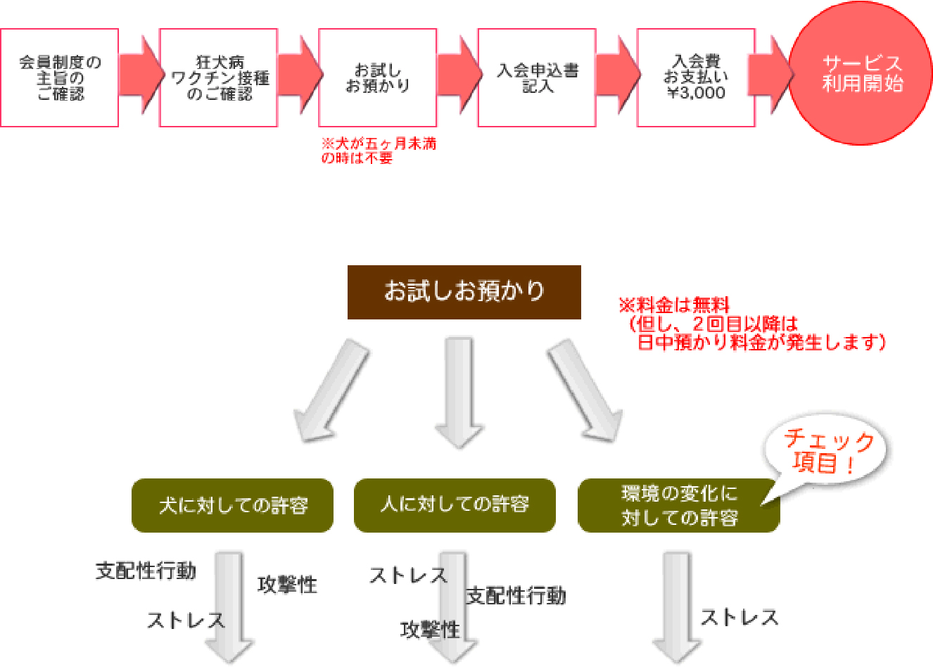 サービス利用までの流れ