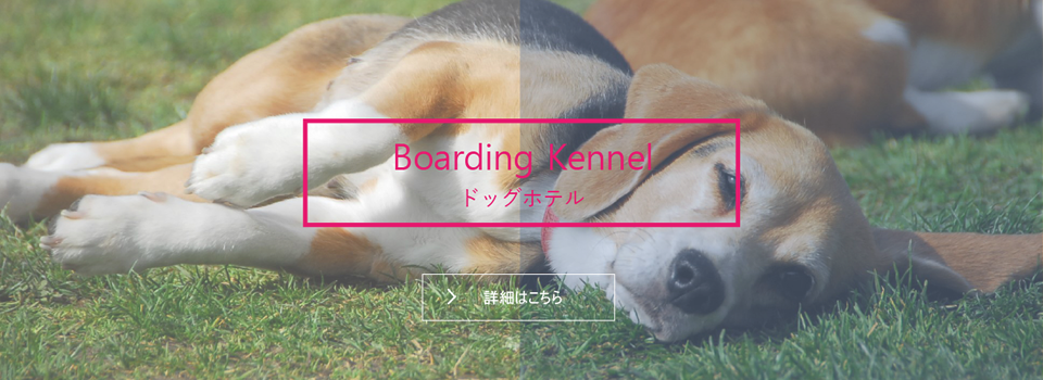 ペットホテル