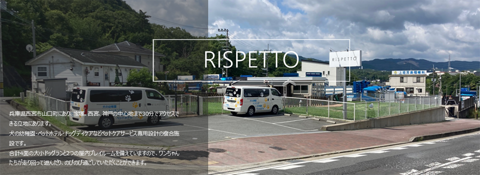 RISPETTO