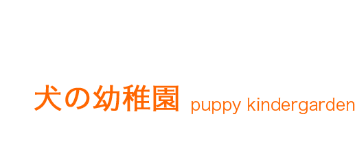 犬の幼稚園