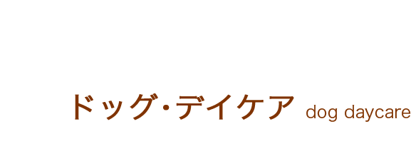 ドックデイケア
