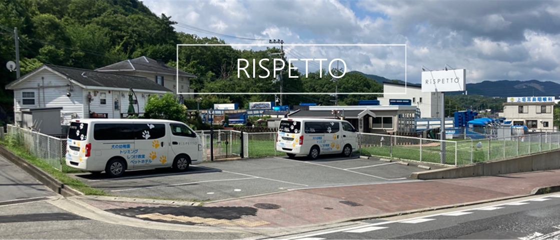 RISPETTO