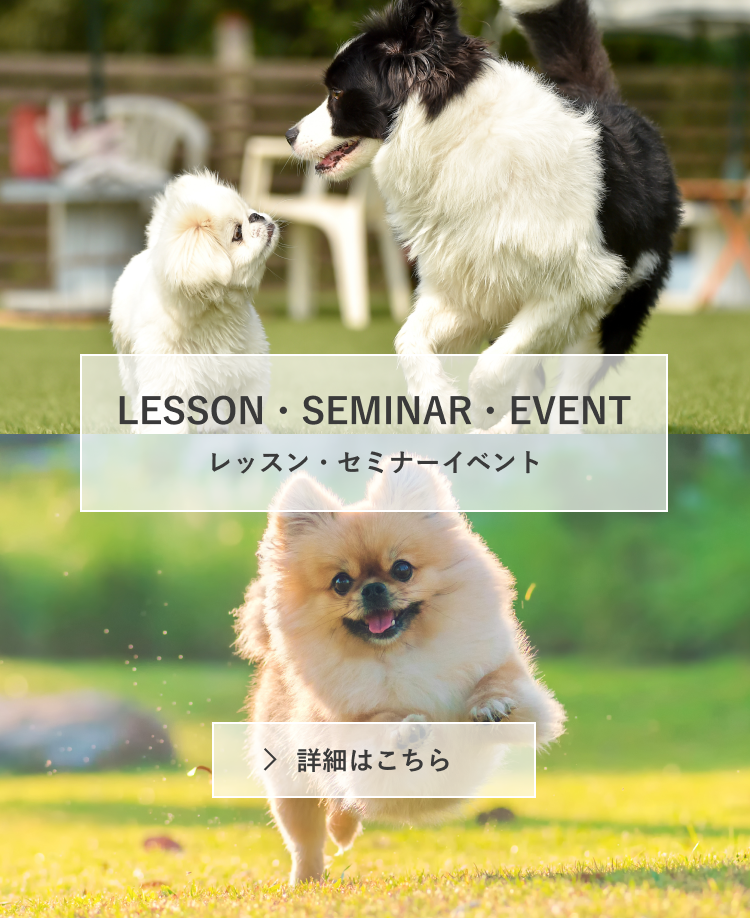 レッスンセミナー・イベント