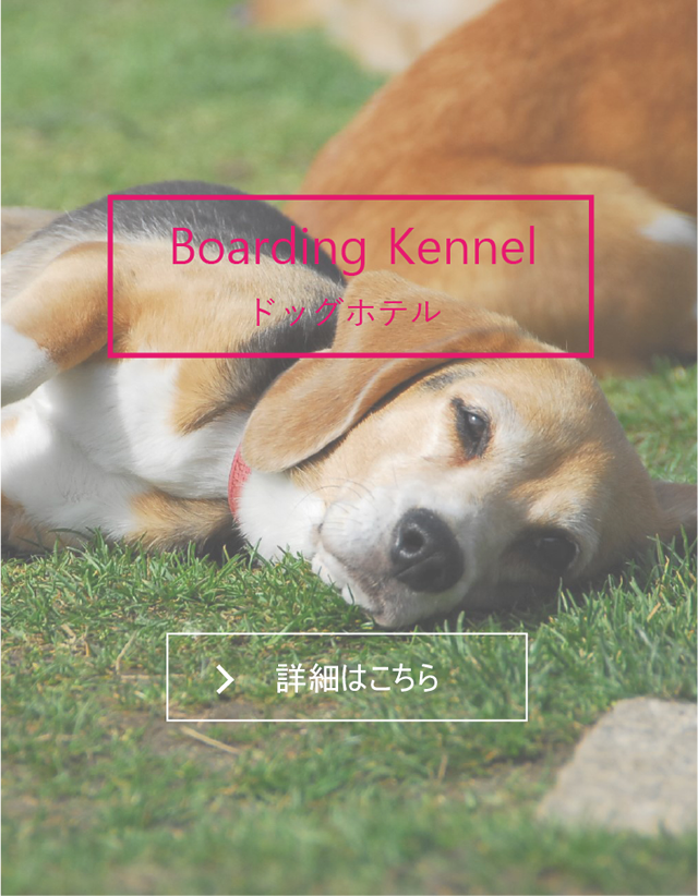 ペットホテル